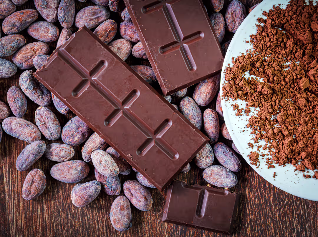 cacao beans and chocolate bar